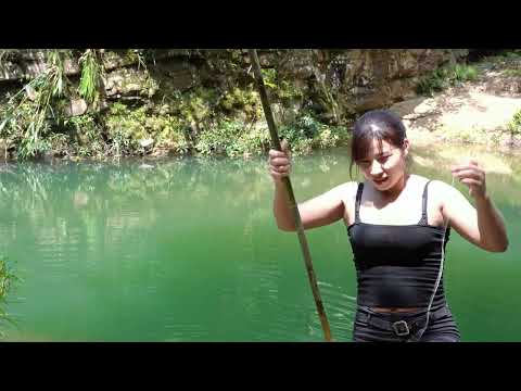 Set traps to catch catfish and fish for catfish