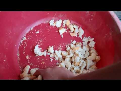 El pan le gusta a la gallinas y es bueno para su crecimiento