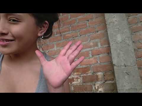 Debes ver este video Antes de Tener pollitos