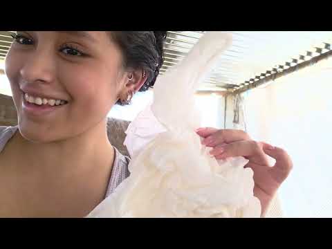 Mi día a día en el campo Es tan fácil cuidar gallinas como