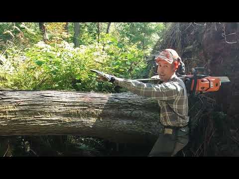 I Milled a Year Old Tree Into a Recording Studio