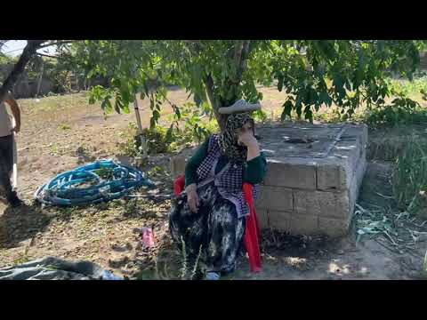 KÖY HAYATI ANNEMİN BAHÇESİNİ BADEM CEVİZ TOPLADIK