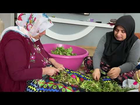 KÖYÜMÜZÜN ÇITLIĞI GÜNLÜKVLOG HOŞ SOHBET EŞLİĞİNDE