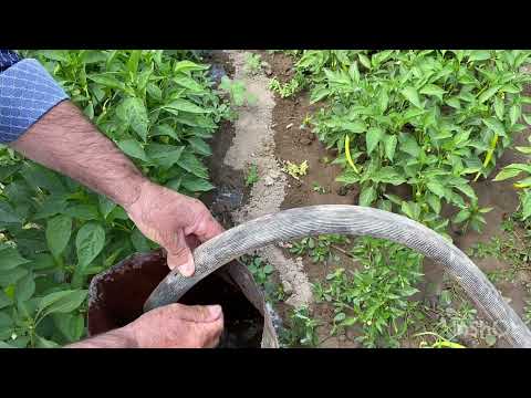 Yengemle Kahvaltı Hazırladık ŞEHİT ÖMER HALİS DEMİRİN