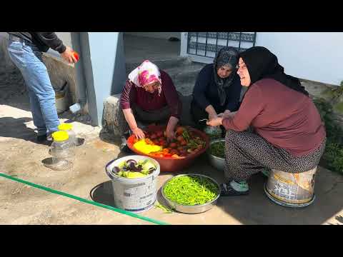 BİRLİKTEN KUVVET DOĞAR 10 BİDON DOMATES BİBER TURŞUSU