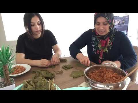 ZEYTİNYAĞLI DOLMA NASIL YAPILIR DONDURUCUDA NASIL SAKLANIR