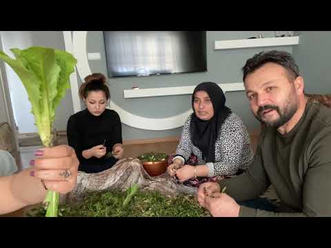 SOHBET EŞLİĞİNDE KÖYÜMÜZÜN ÇITLIĞI MERZİFON TURU TADINI
