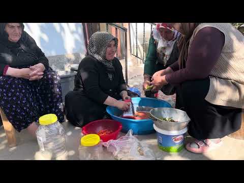 5 kg KAŞIK TURŞUSU TARİFİ ANNEMİN SON GÜNÜ İSTANBULA GİTTİ