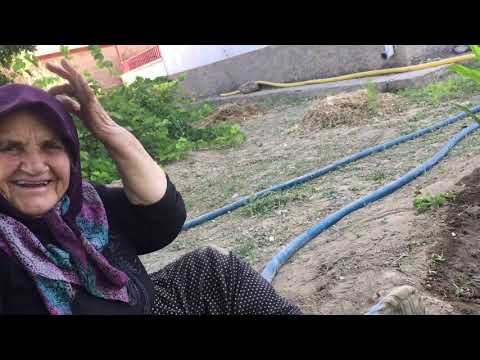 ANNEMİN HAYIR DUASINI ALDIM bahçe sulaması YEMYEŞİL BAHÇE