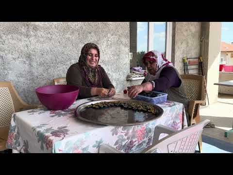 ERİK KURUSU NASIL OLUR YENGEMLE ERİK TEMİZLEDİK DOLU DOLU