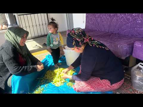 Limon GİBİ KÜTÜR KÜTÜR ERİMEYEN CİN BİBER TURŞUSU KURDUK