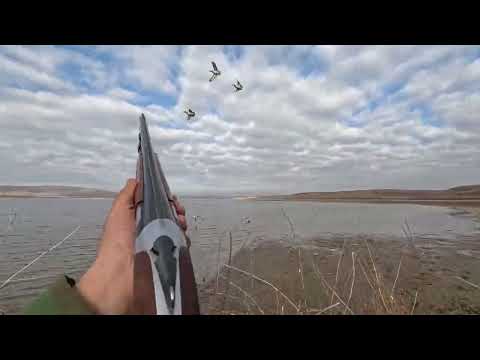 ÖRDEK AVI SÜRÜ SÜRÜ ÖRDEK GELDİ 2024 SHOTKAM İLE EŞSİZ