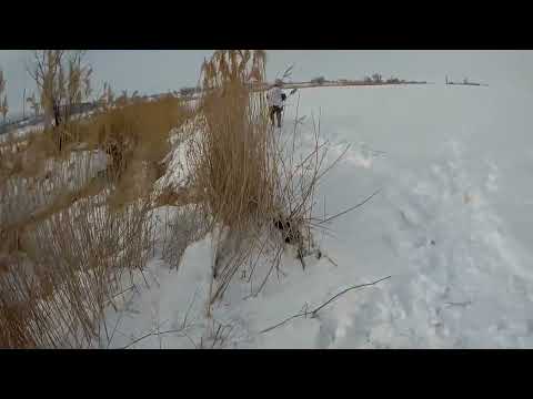 TOZ PÜSKÜRTEN VURUŞLAR ÖRDEK AVI mallard duck hunting