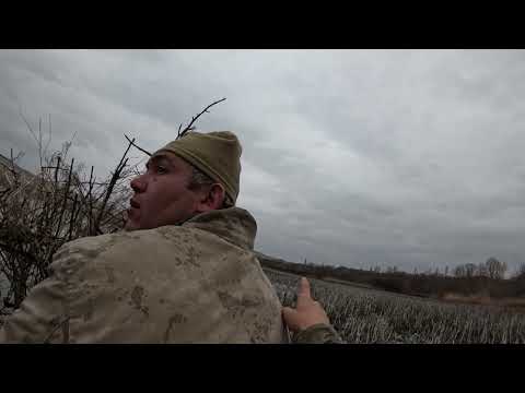 DUCK HUNTING LİMİTLER DOLDU YAĞMURDA ÖRDEK AVI YEŞİLBAŞ
