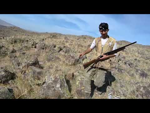 Keklik tavşan avı ÇOK NET VURUŞLAR partridge rabbit hunting