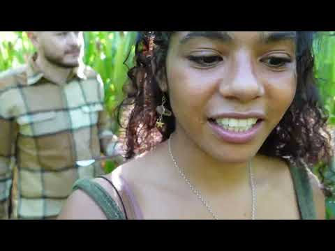 Vlog Hiking corn maze pumpkin patch trying Raising Canes