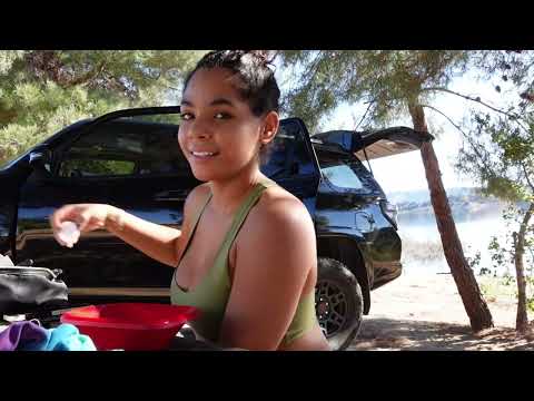 Solo Car Camping with my dog 4runner