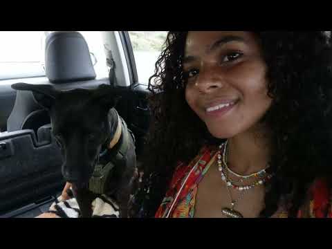 Spend the day with me vlog Chickens gardening beach content