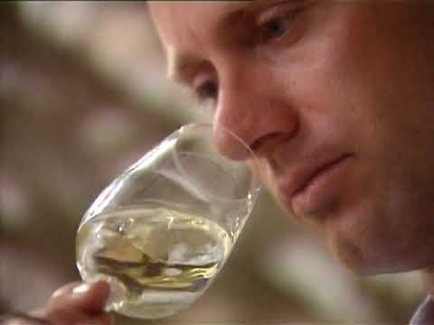 Au rythme de la Bourgogne