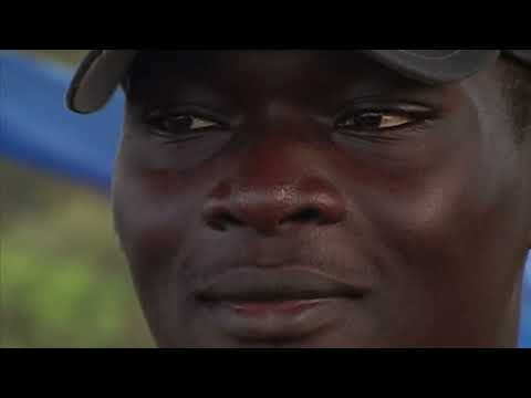 Gabon les parcs nationaux face aux touristes