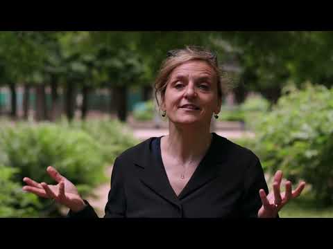 The secret of Paris s most beautiful parks