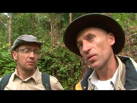 Les senteurs de Madagascar Documentaire