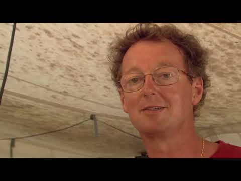 Clipperton l île oubliée des hommes