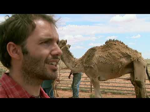 Australie la VRAIE VIE des pionniers australiens