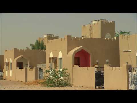 A la découverte de l arbre à encens d Ubar à Oman