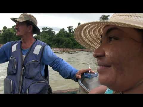 Suriname Inside the Dangerous Roads to Amazon Gold