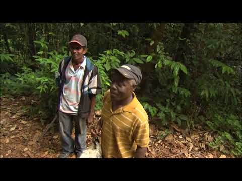 Guyana s most dangerous jungle roads