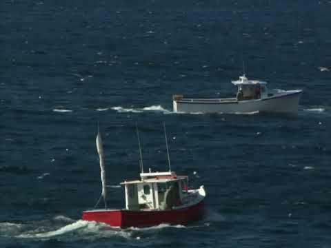 Croisières de rêve l Amérique sauvage