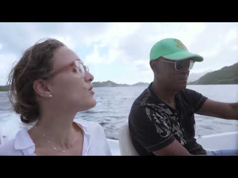 Caraïbes les six îles du vent