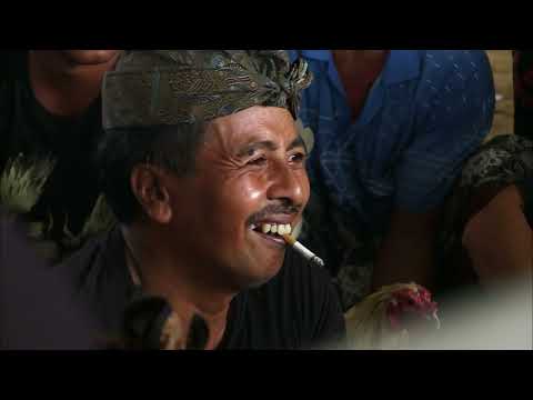 Bali une nouvelle destination en danger