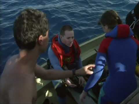 Opération Plan Bleu au secours de la Méditerranée