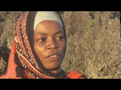 Les femmes de Wasini Documentaire Thalassa