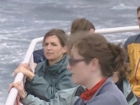 Les îles Blasket l archipel oublié Thalassa documentaire