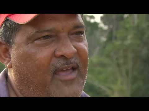 Guyana les chauffeurs d un monde hostile