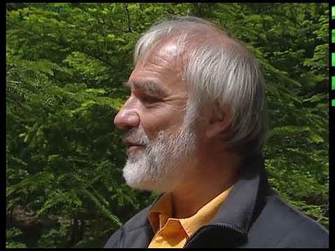 Ballade à la verticale Documentaire nature