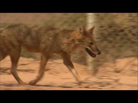 A la découverte du Désert du Neguev en Israël