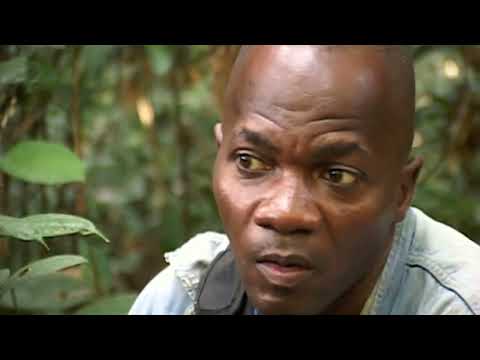 Gabon les Gardiens de la Jungle