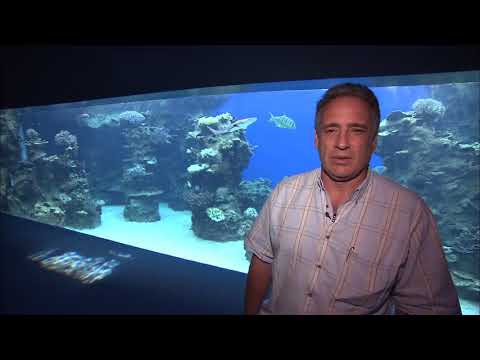 L Aquarium des lagons de Nouméa en Nouvelle Calédonie