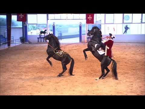 Le cheval de pure race minorquine