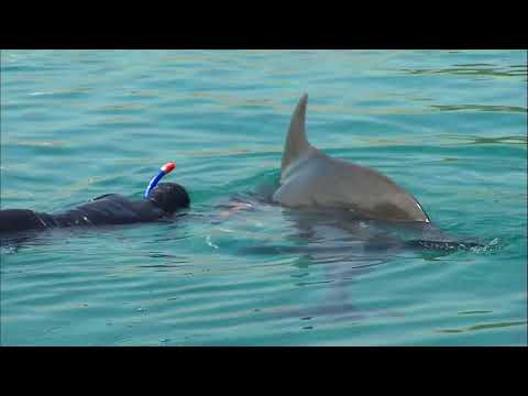 A la découverte d Eilat en Israël