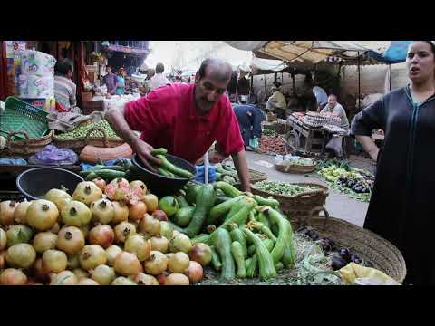 Lost Civilizations The secrets of Morocco s imperial cities