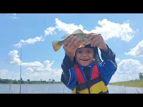 Pescaria caipira de tucunare com melhor frito de todos no