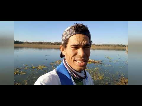 Pescaria na nova ceva de tilapia Rio thomaizao