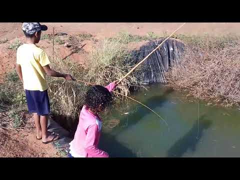 Tive que por colete nele pesca de pirarucu