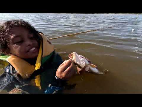 Rio thomaizao e seus Peixes Pescaria Raiz tilápia tucunaré