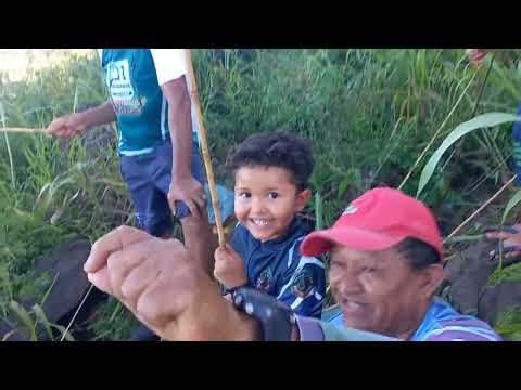 Abri um espaço no meio dos guapé só foi jogar o lambari